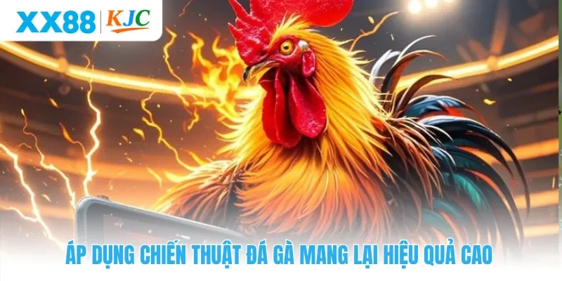 Áp dụng chiến thuật đá gà mang lại hiệu quả cao