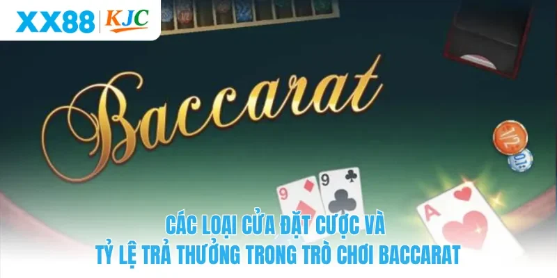 Các loại cửa đặt cược và tỷ lệ trả thưởng trong trò chơi Baccarat