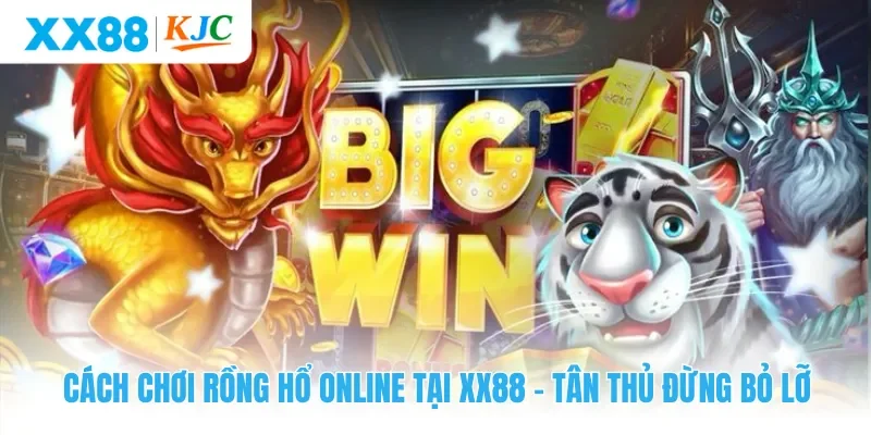 Cách Chơi Rồng Hổ Online Tại XX88 - Tân Thủ Đừng Bỏ Lỡ