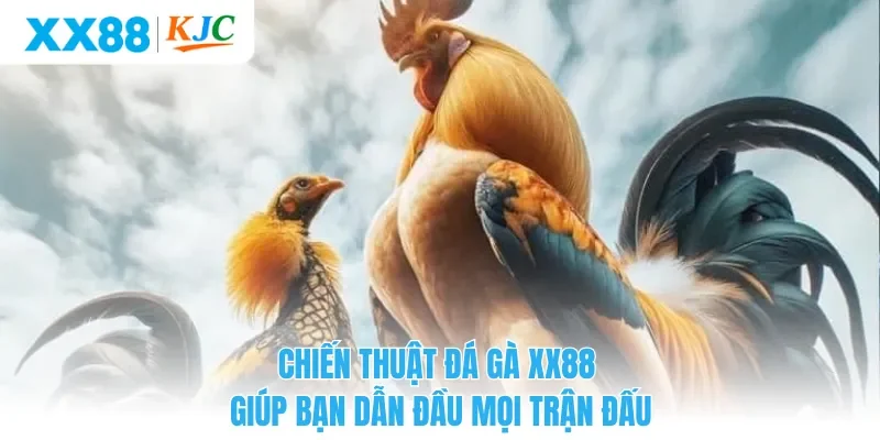 Chiến Thuật Đá Gà XX88 Giúp Bạn Dẫn Đầu Mọi Trận Đấu