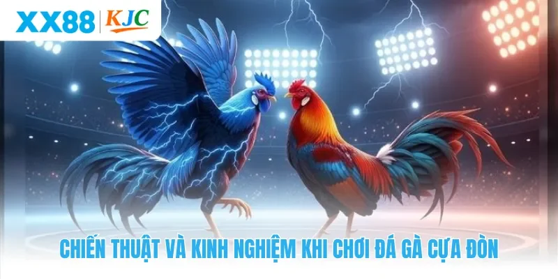 Chiến thuật và kinh nghiệm khi chơi đá gà cựa đòn