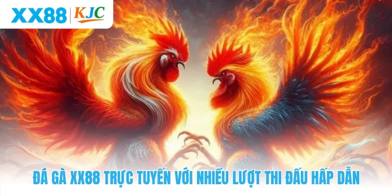 Đá Gà XX88 Trực Tuyến Với Nhiều Lượt Thi Đấu Hấp Dẫn