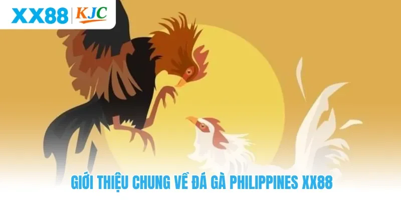 Giới thiệu chung về đá gà Philippines XX88