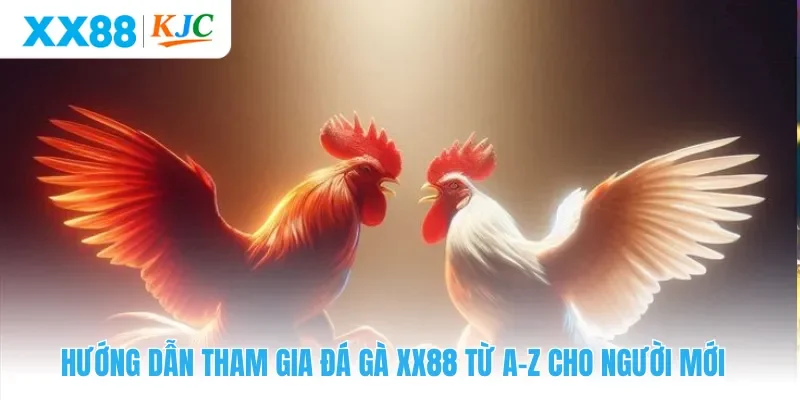 Hướng dẫn tham gia đá gà XX88 từ A  -  Z cho người mới
