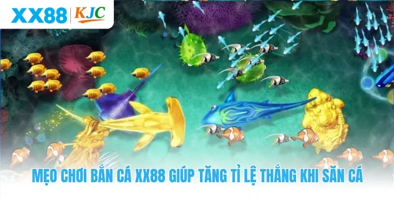 Mẹo Chơi Bắn Cá XX88 Giúp Tăng Tỉ Lệ Thắng Khi Săn Cá