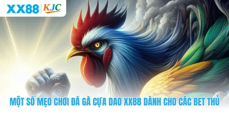 Một số mẹo chơi đá gà cựa dao XX88 dành cho các bet thủ