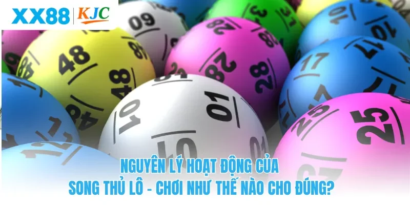 Nguyên lý hoạt động của song thủ lô - Chơi như thế nào cho đúng?