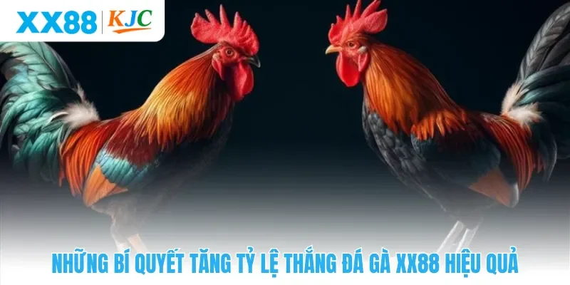 Những bí quyết tăng tỷ lệ thắng đá gà XX88 hiệu quả
