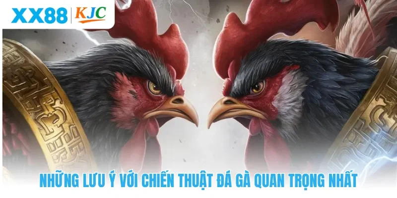 Những lưu ý với chiến thuật đá gà quan trọng nhất