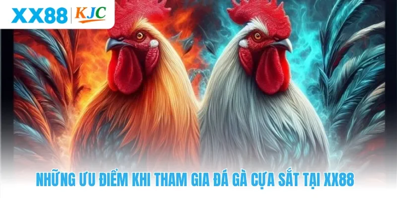 Những ưu điểm khi tham gia đá gà cựa sắt tại XX88 