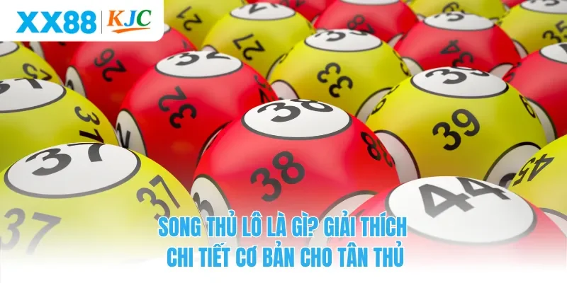 Song thủ lô là gì? Giải thích chi tiết cơ bản cho tân thủ