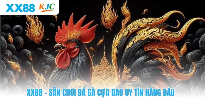 XX88 – Sân chơi đá gà cựa dao uy tín hàng đầu